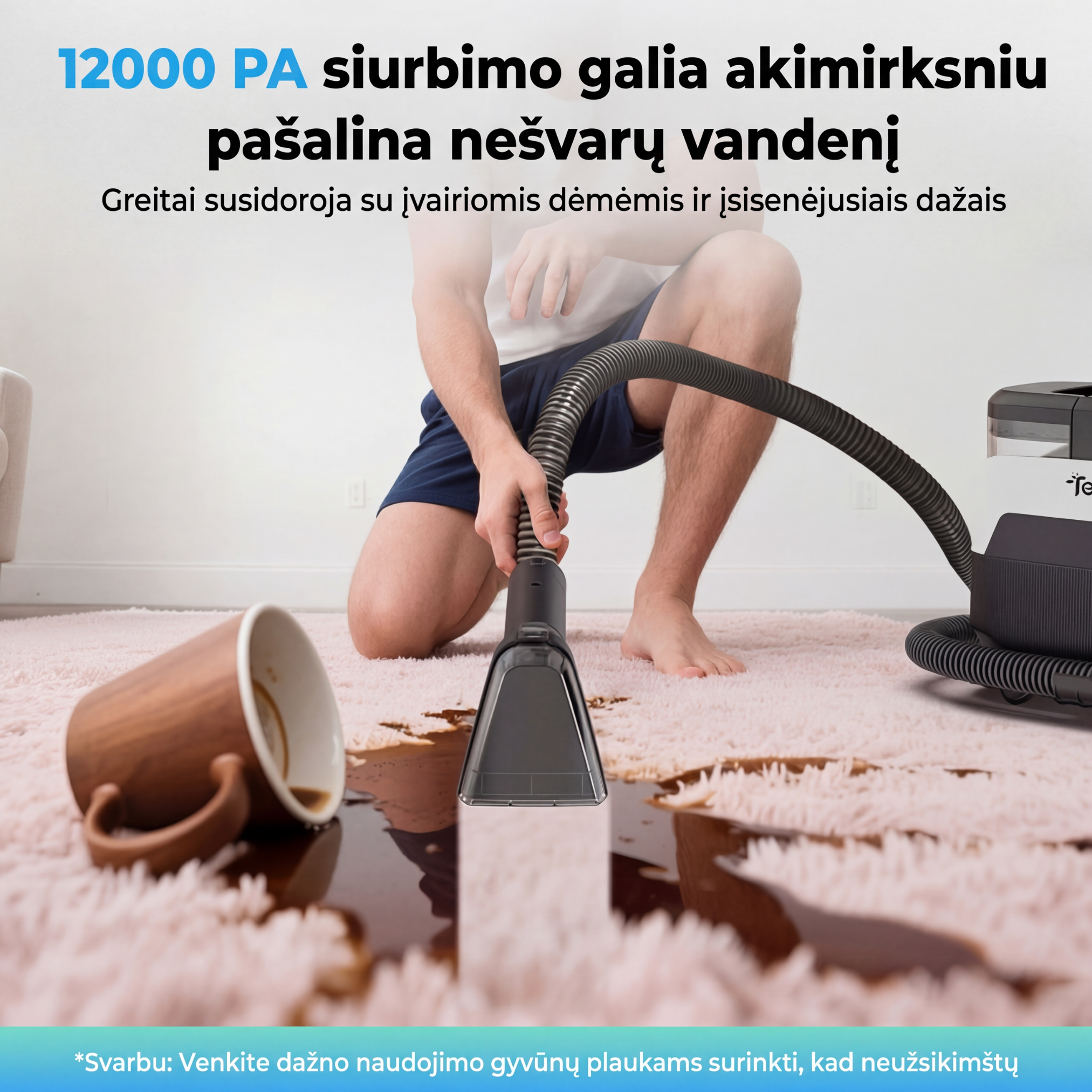 Teedow X6 MAX - Giluminis dėmių valymo įrenginys 1650W