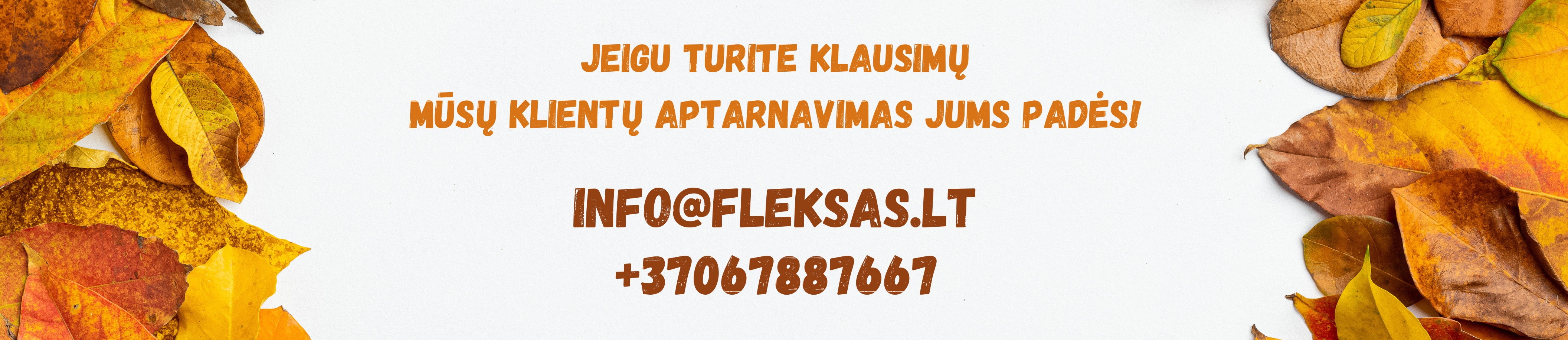 Fleksas